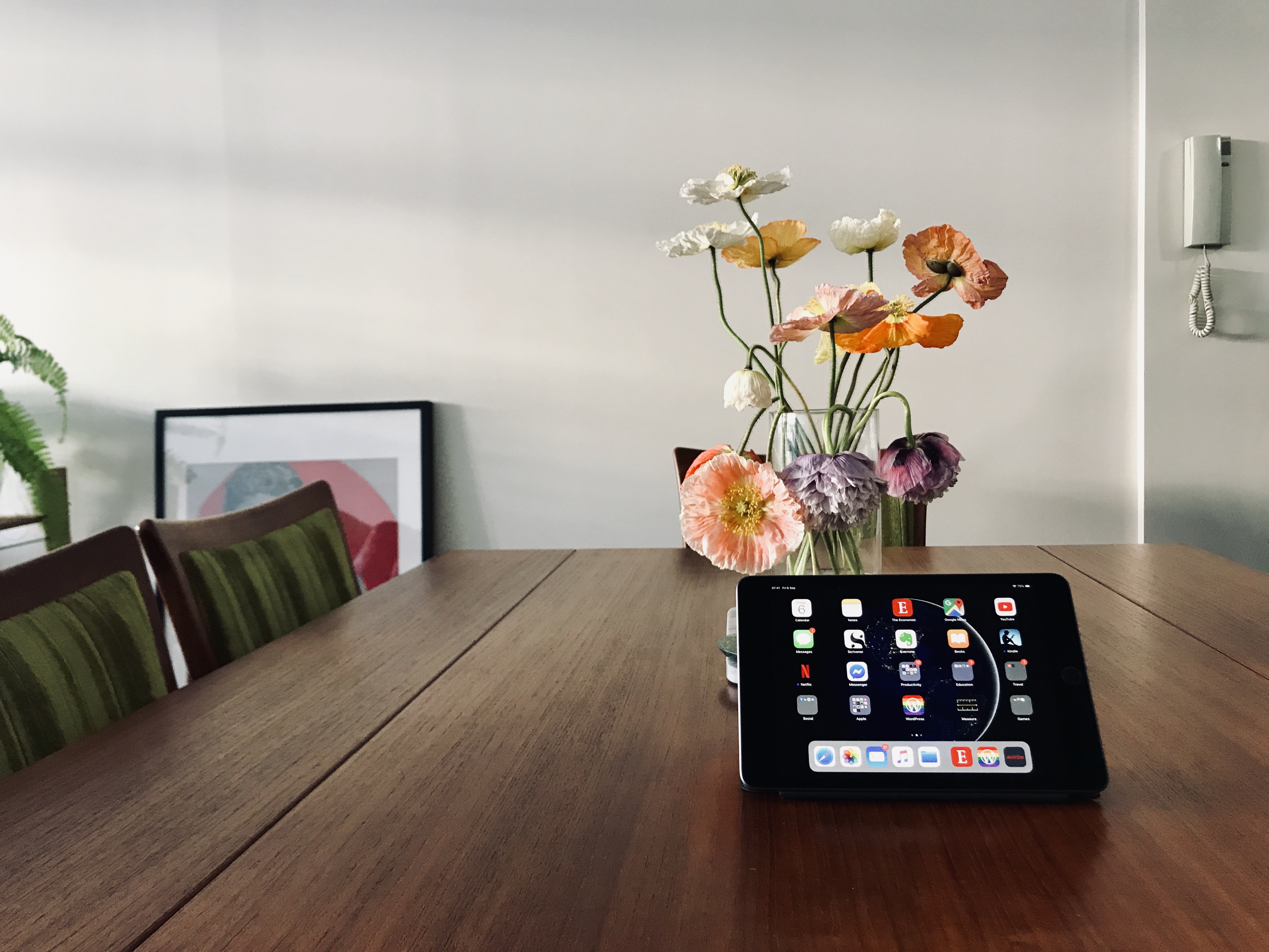 When an iPhone, iPad Pro, MacBook Pro aren’t enough! iPad Mini Review