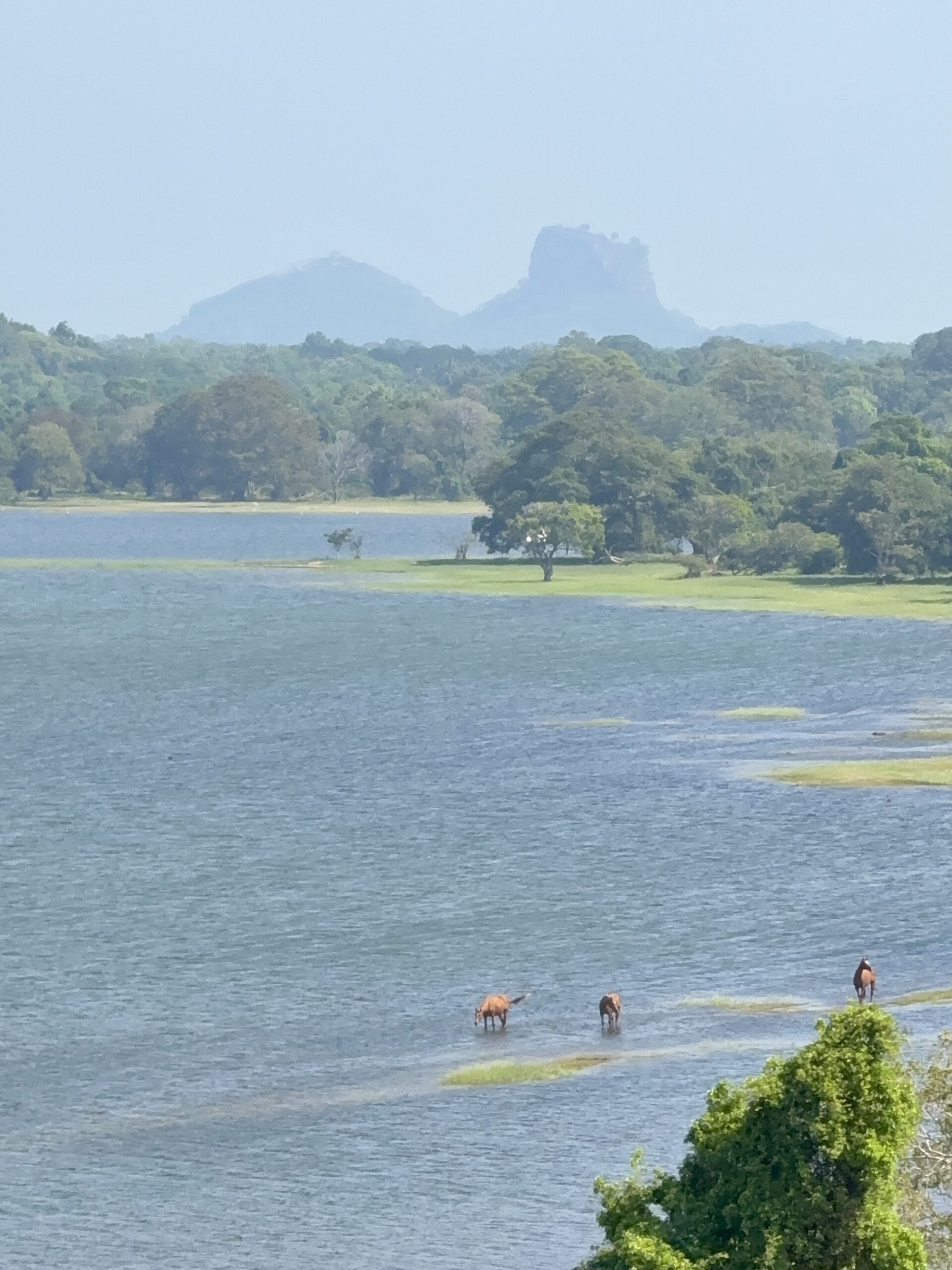 Books that Made My 2025